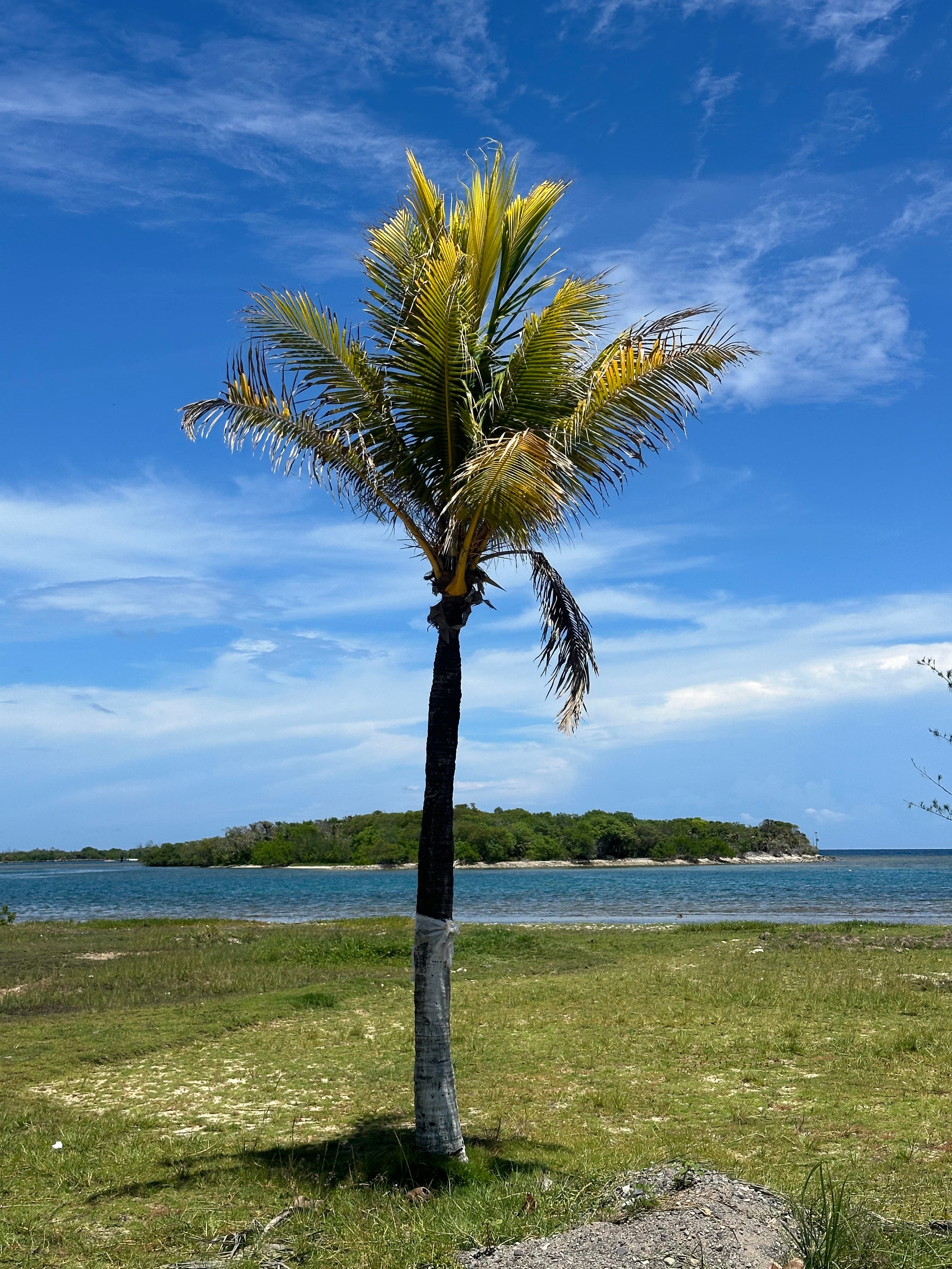 Roatán coastline from above